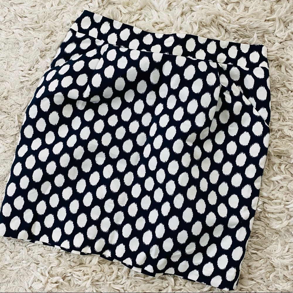 Ann Taylor The Loft Skirt